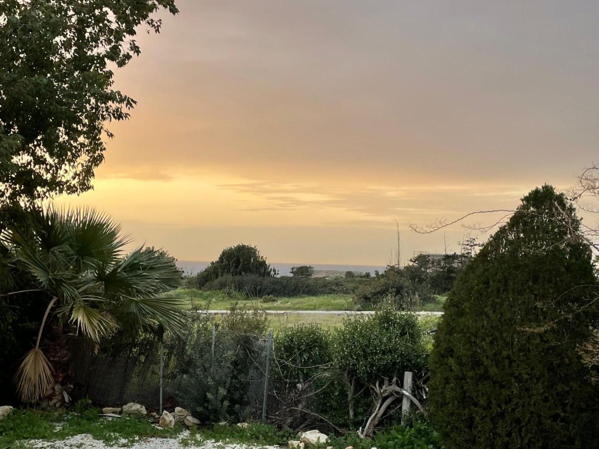 Villa Ambios Peyia Bagian luar foto